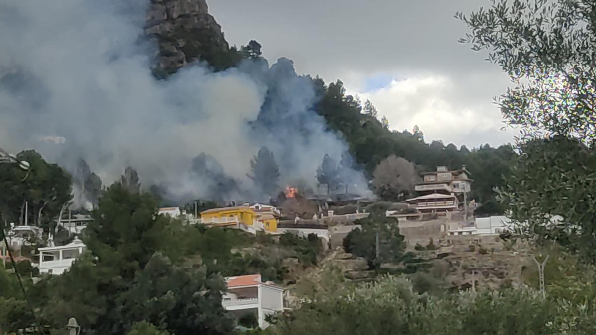 Un incendio forestal en Alzira amenza la Murta y dos centenares de viviendas