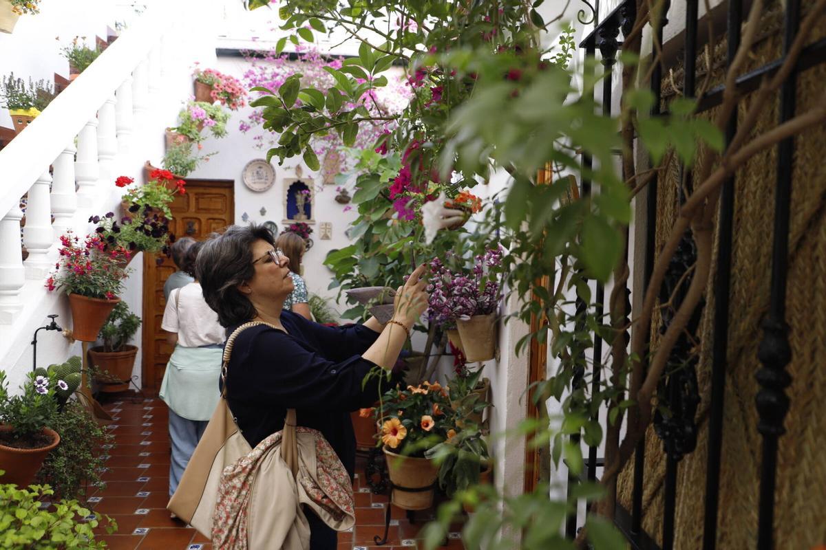 La ruta de los patios de San Lorenzo, en imágenes
