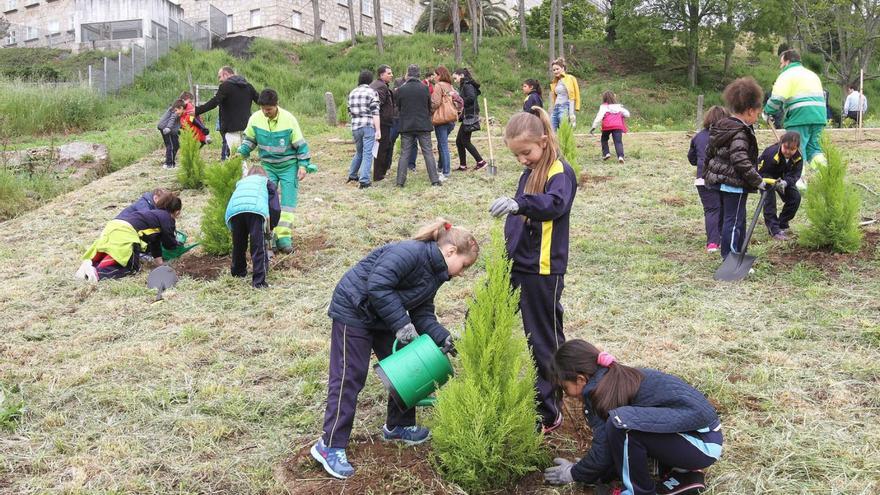 El Concello anima a plantar 1.000 árboles para luchar contra el cambio  climático - Faro de Vigo