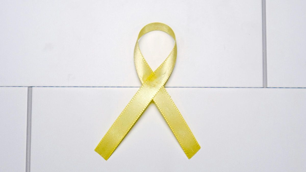 La Comunidad de Madrid reúne a responsables de Salud Mental de toda España para abordar políticas de prevención del suicidio