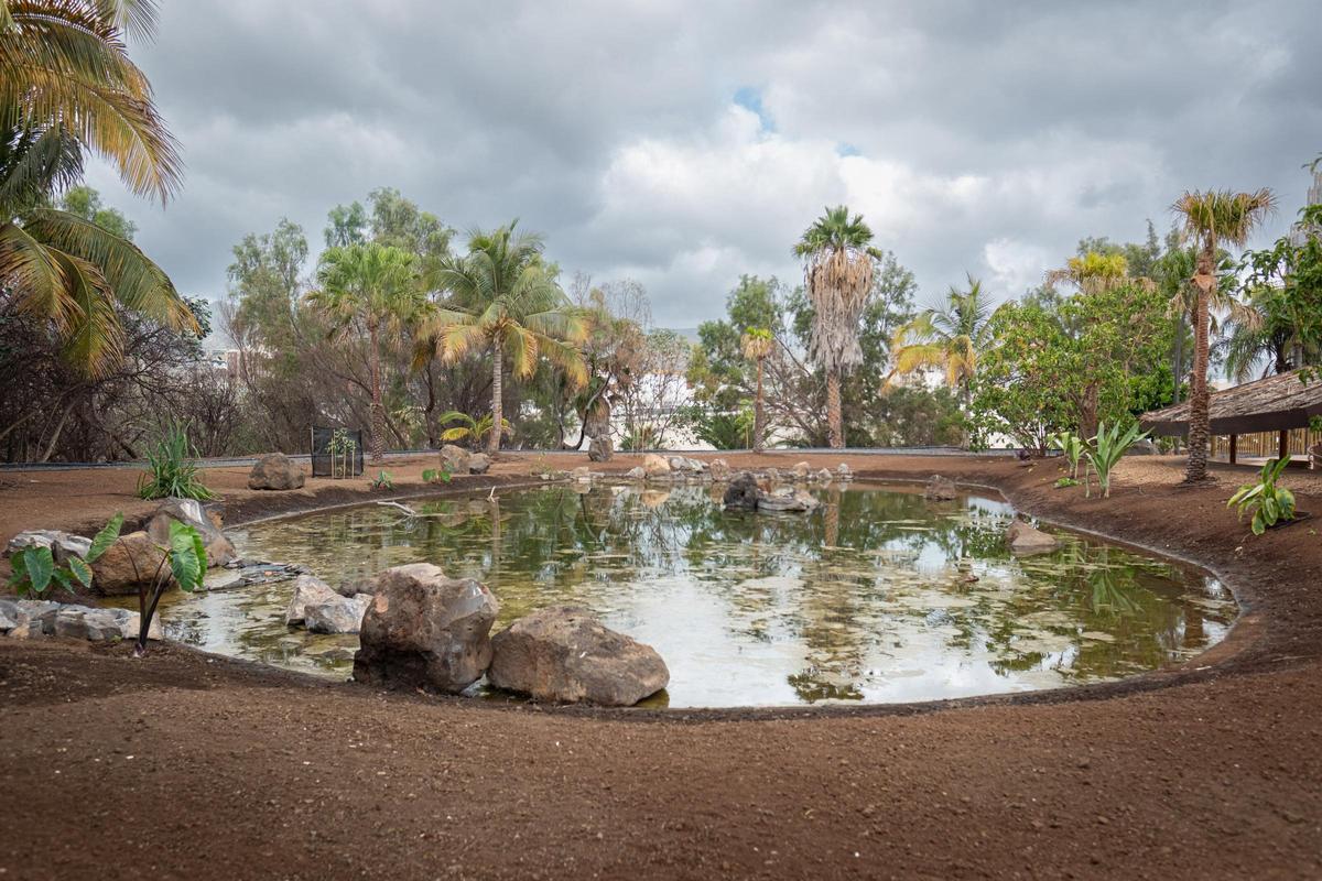 Zona de avistamiento de aves del Palmétum, en Santa Cruz de Tenerife.