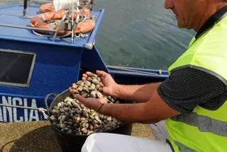 El furtivismo se crece ante la Navidad