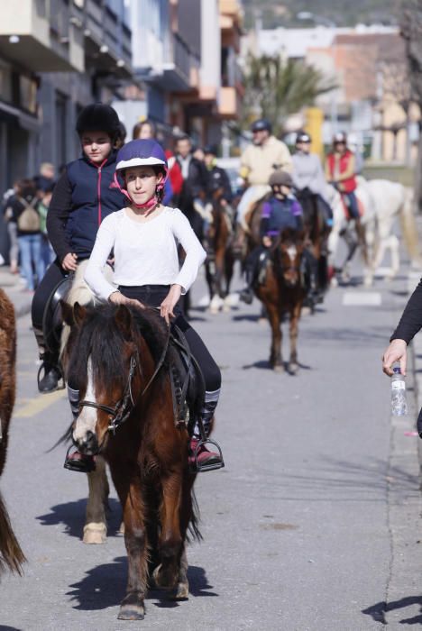 Festa de Sant Antoni Abad a Torroella de Montgrí