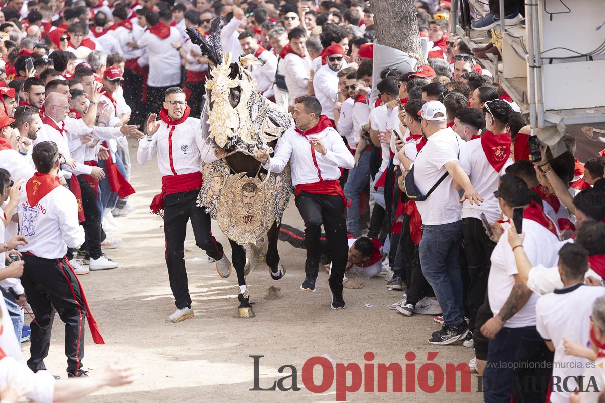 Así se ha vivido la carrera de Los Caballos del Vino en Caravaca