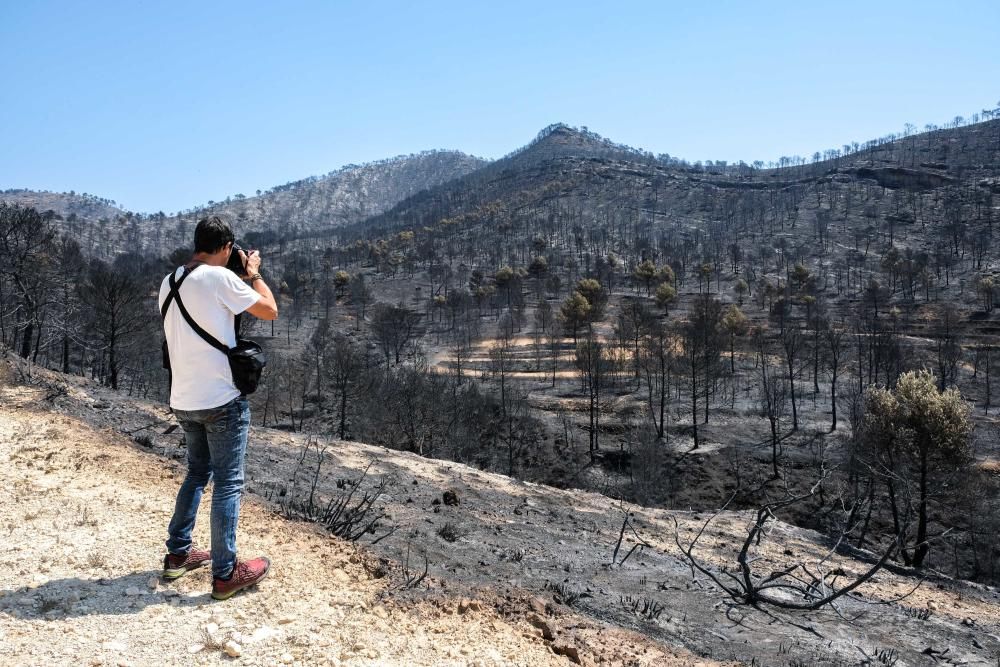 Así ha quedado la zona tras el incendio.