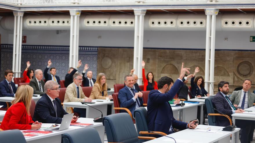 Directo | La Asamblea debate las iniciativas parlamentarias sobre la laguna salada