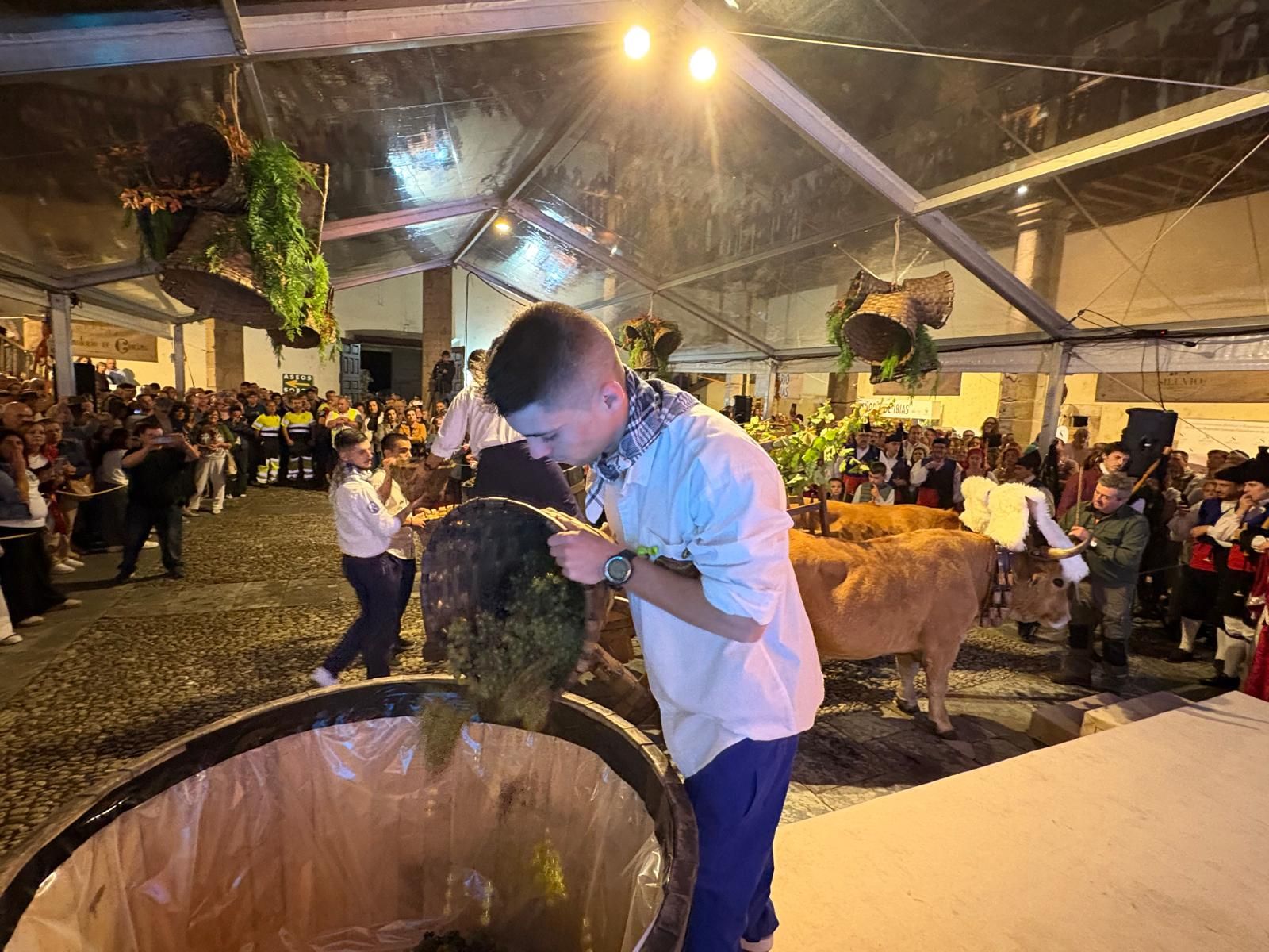 Así se vivió la recreación histórica de la pisada de la uva en la Fiesta de la Vendimia