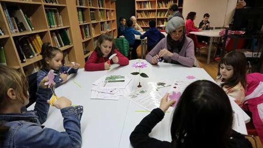 El Botánico agotó las camelias