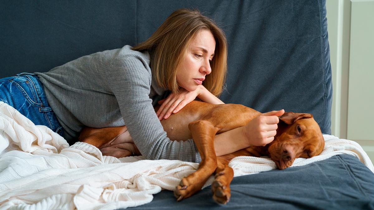 El sencillo detalle que nos muestra si nuestro perro se ha intoxicado