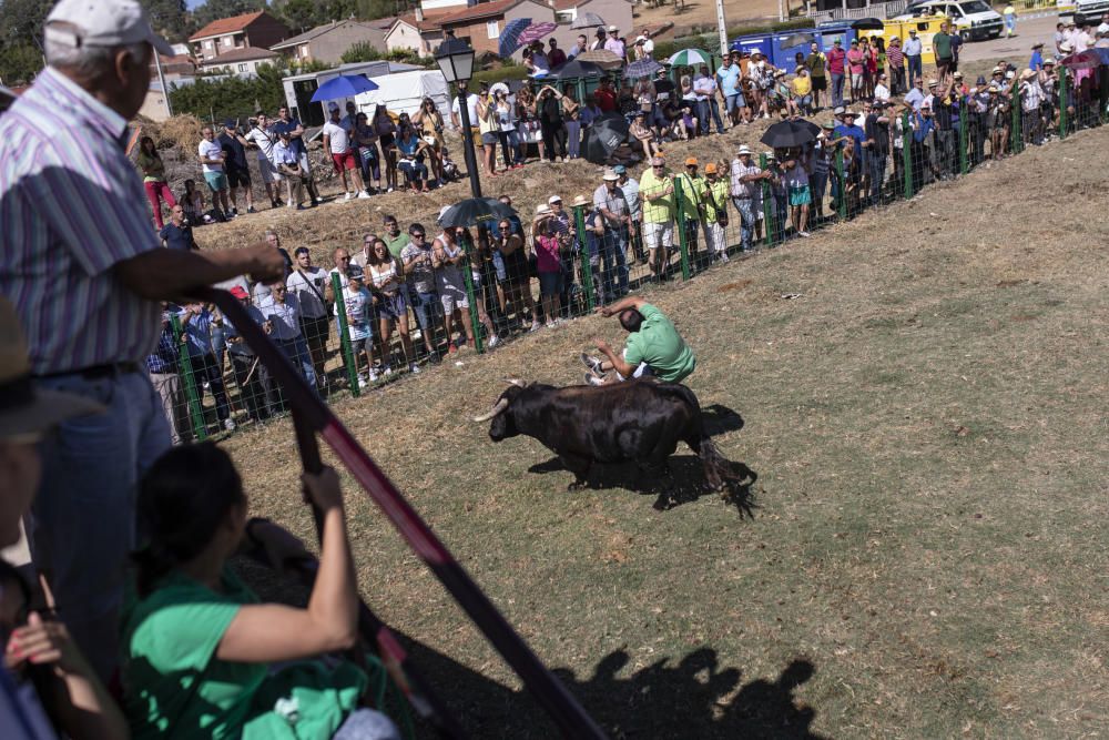 Así ha sido la espectacular cogida en Venialbo