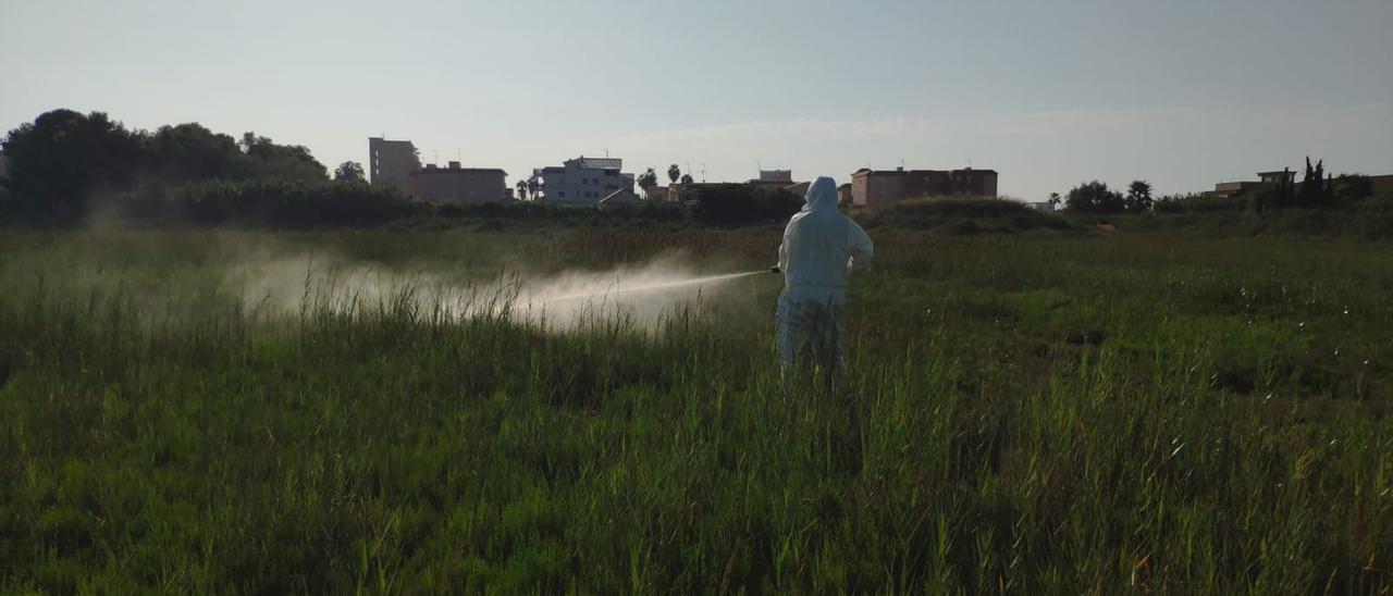 Un operario de la empresa Lokímica realiza trabajos contra los mosquitos en zonas húmedas de Castellón, ayer