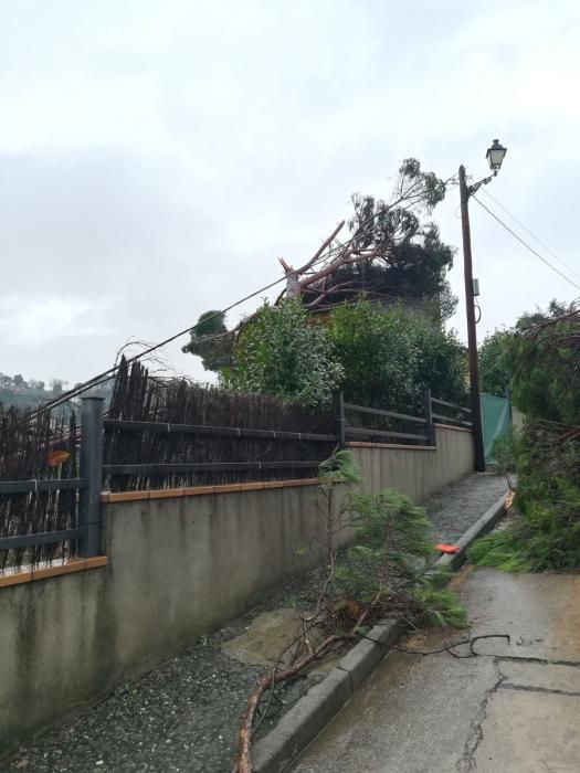 Destrosses a Riells i Viabrea per un tornado