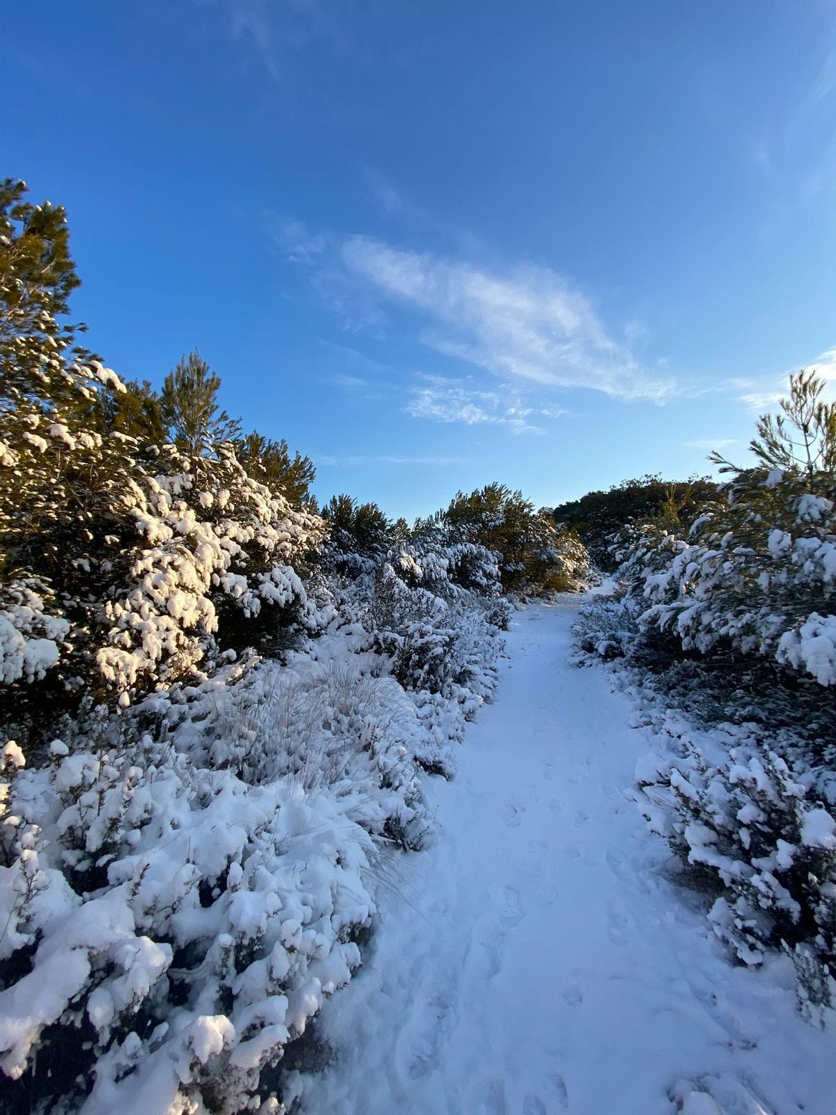 Aspecto que presenta en la mañana de este jueves la cumbre de la sierra del Cid en Petrer.