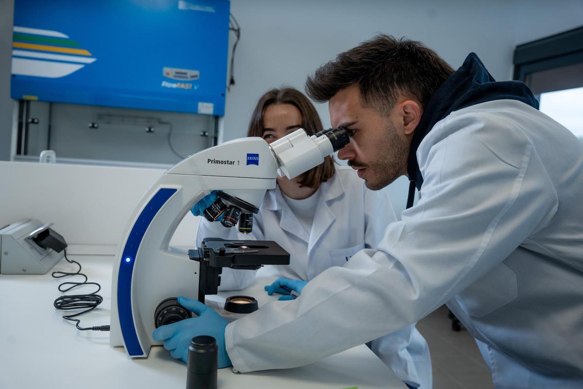 En 2026 comenzará la actividad académica en el nuevo Campus.