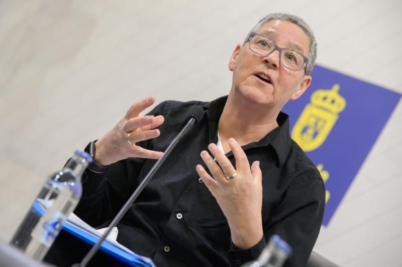 Jack Halberstam, profesor de la Universidad del Sur de California, profesor visitante en la Universidad de Columbia y una de las voces más reconocidas internacionalmente en teoría queer y estudios de género ofrece en el Cabildo de Gran Canaria la charla ?Trans*, más allá de los derechos y el reconocimiento?.  | 17/01/2019 | Fotógrafo: Tony Hernández