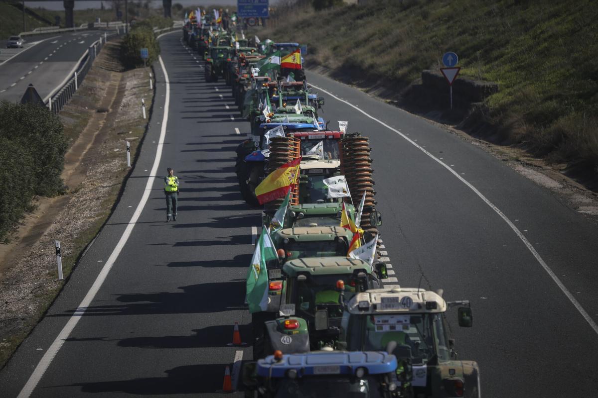 Tractorada organizada por agricultores en A-4 a la altura de Carmona.