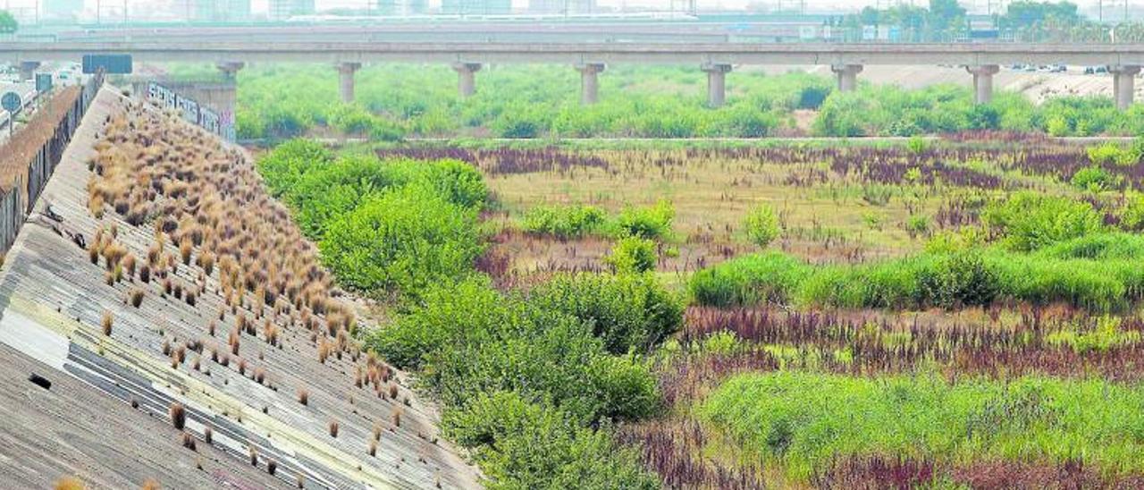 Nuevo cauce del Túria, con uno de los puentes que lo atraviesa. | E.RIPOLL