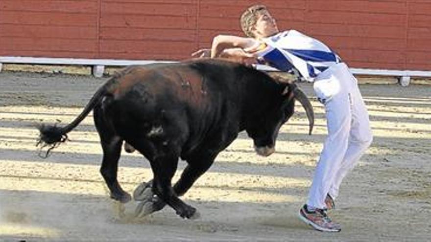 Fin de semana taurino con el ganado     de Arriazu y los ‘Maestros de la calle’