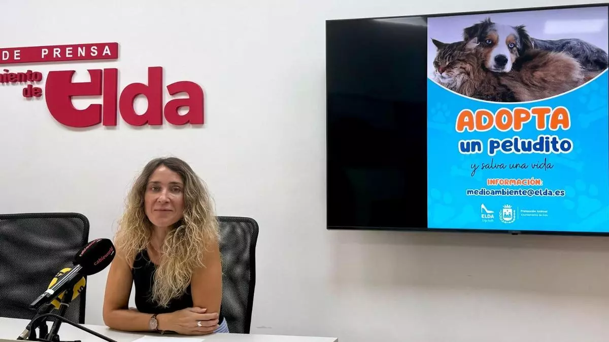 Elda lanza una campaña contra el abandono animal y la compra de mascotas
