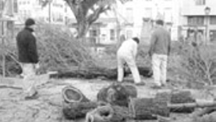 El proyecto de obra del Jardincillo ampliará el suelo y replantará nuevos árboles