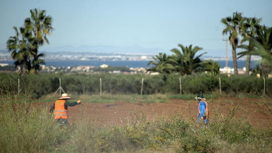 Varios agricultores trabajando en el campo.