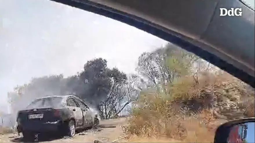 Vídeo: L'incendi d'un vehicle a Vilajuïga agafa massa forestal a tocar l'N-260