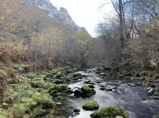 La ruta que se camina a la vera de uno de los ríos más cristalinos de Asturias, el río Casaño