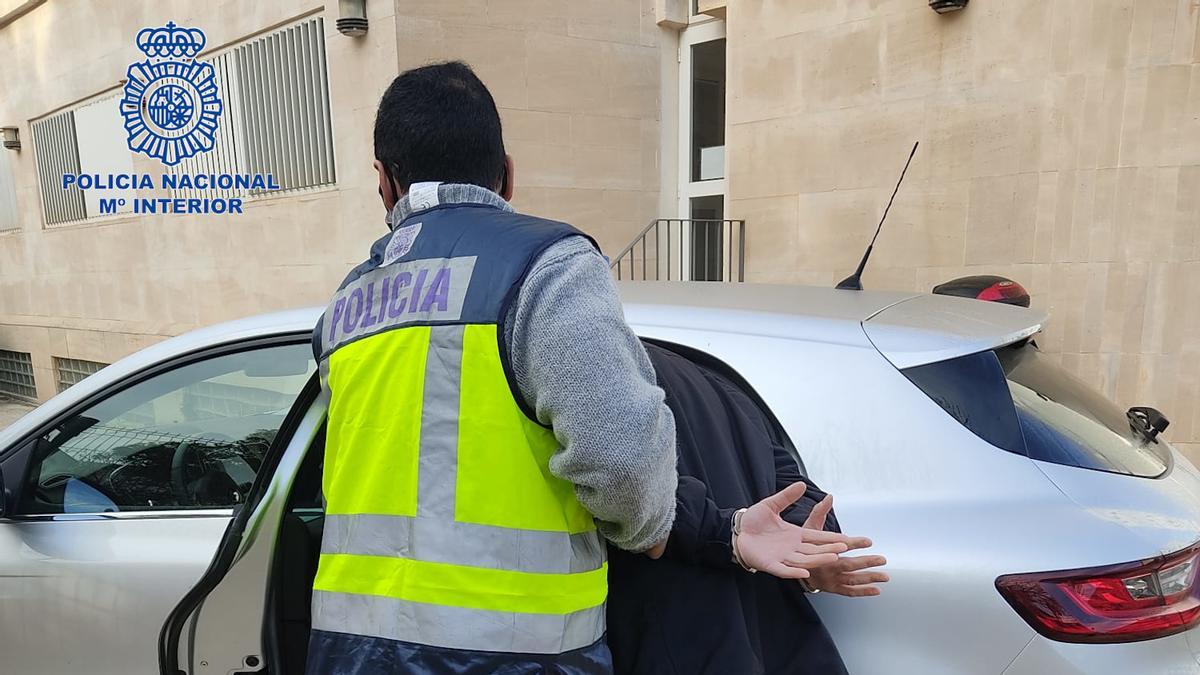 Un policía introduce en un coche al presunto ladrón en vehículos de la Playa de Palma