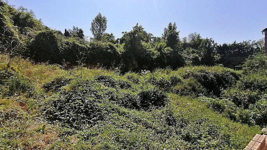 Estat actual del solar de l&#039;antiga fàbrica de la pasta