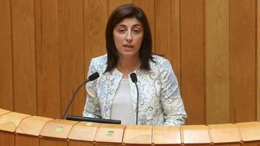La conselleira de Medio Rural, Ángeles Vázquez, en el Parlamento gallego.