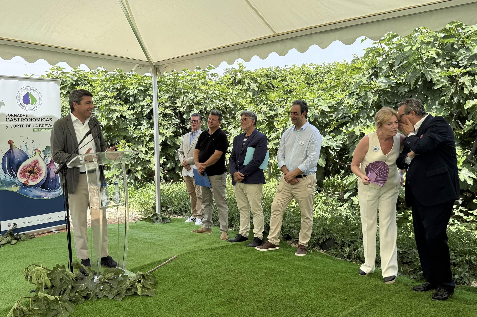 Acto simbólico del arranque de la campaña de breva colar de Albatera