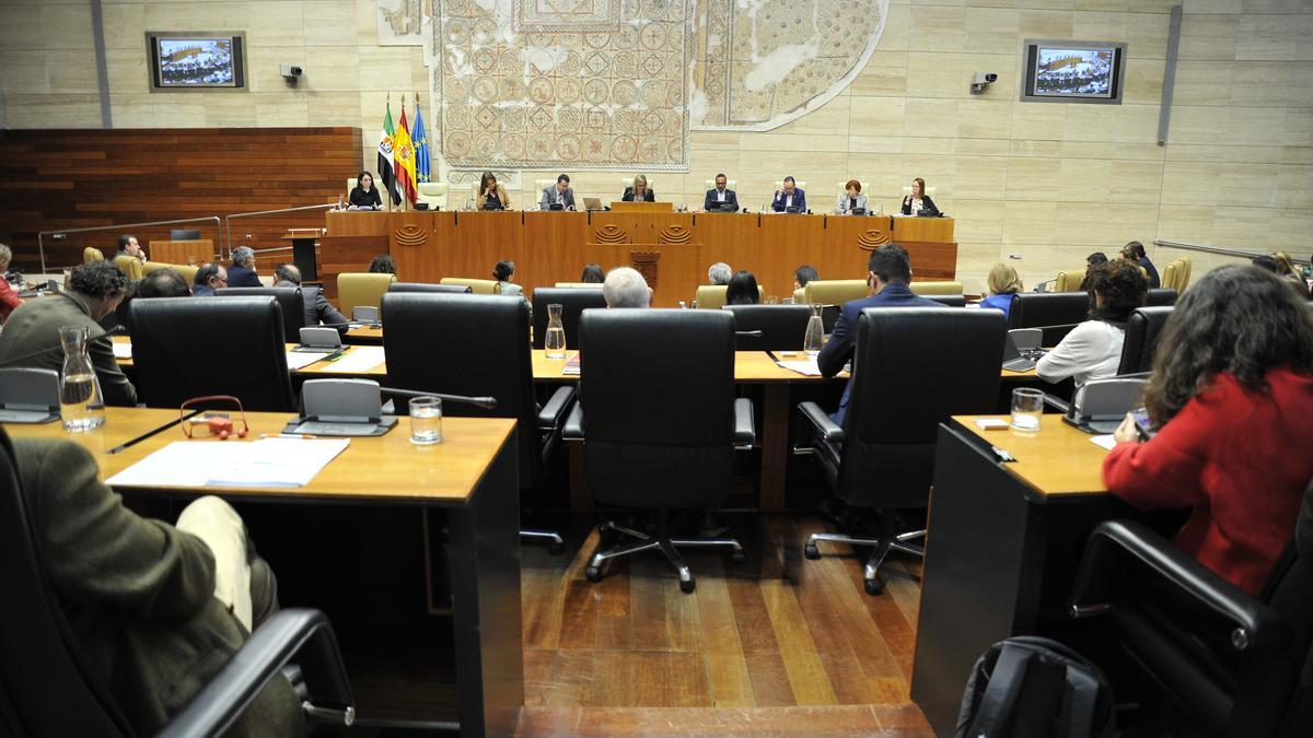 Celebración del pleno de la Asamblea.