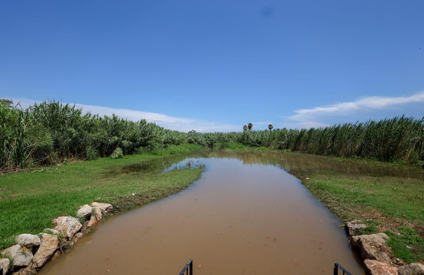 Los efectos del temporal en el Camp de Morvedre