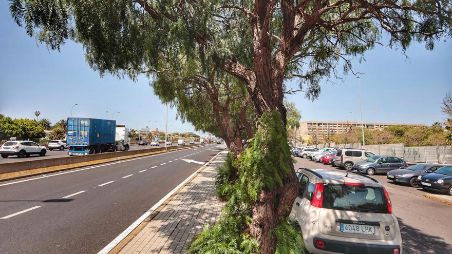 Movilidad en Tenerife: la aplicación para el uso del coche compartido llega a la Universidad de La Laguna