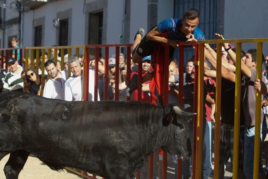 Encierro en Bermillo