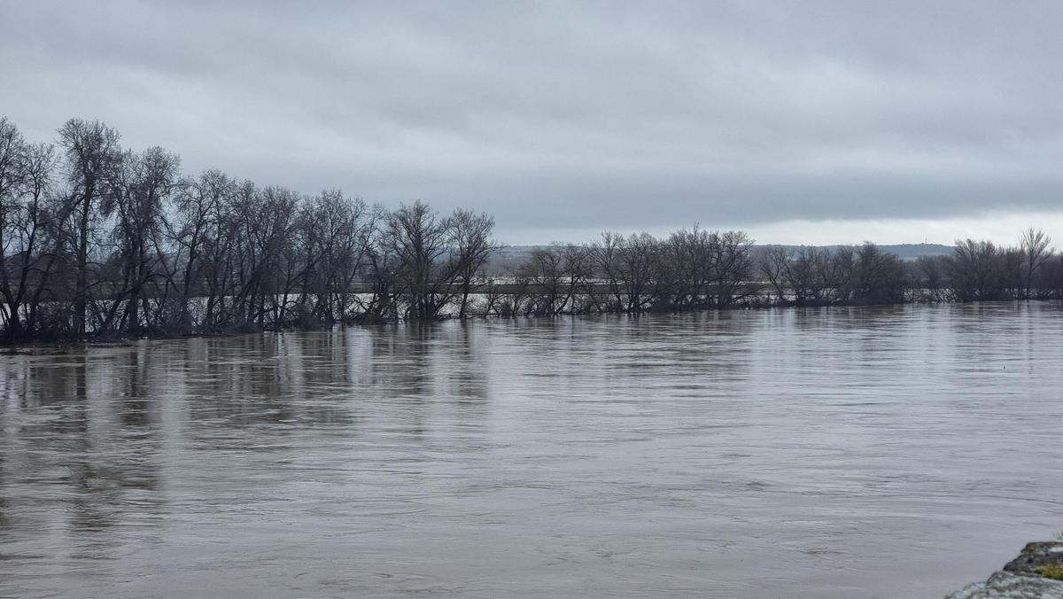 GALERÍA | La crecida del río Duero anega algunas zonas de Toro