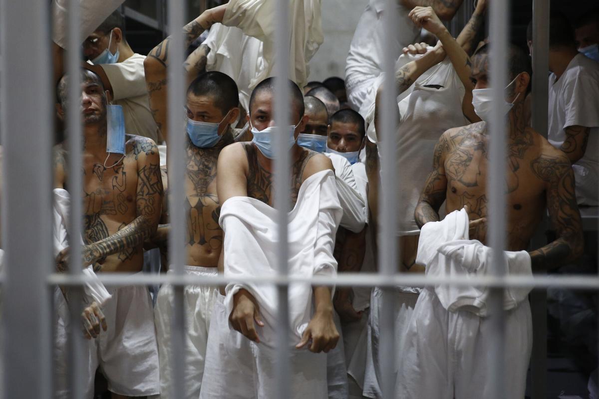 Reclusos al interior de una celda en el Centro de Confinamiento del Terrorismo (Cecot) este viernes, en Tecoluca (El Salvador). EFE/ Rodrigo Sura