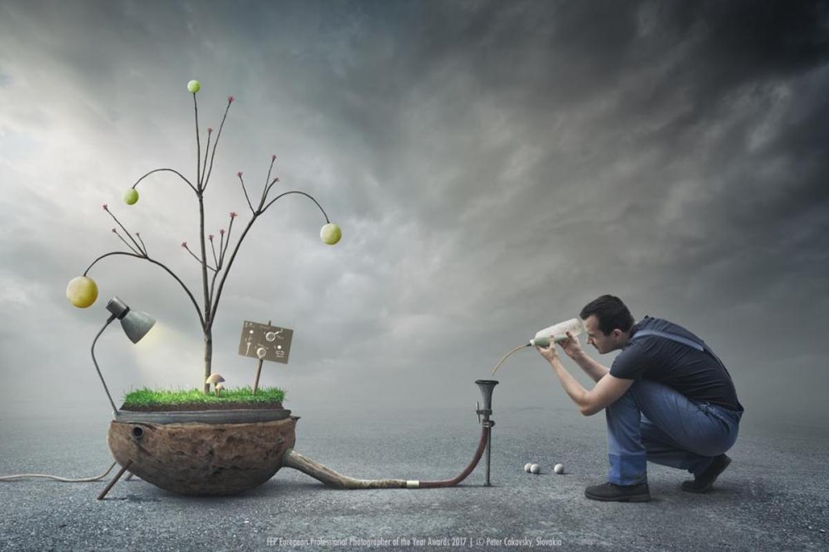 European Professional Photographer of the Year Awa