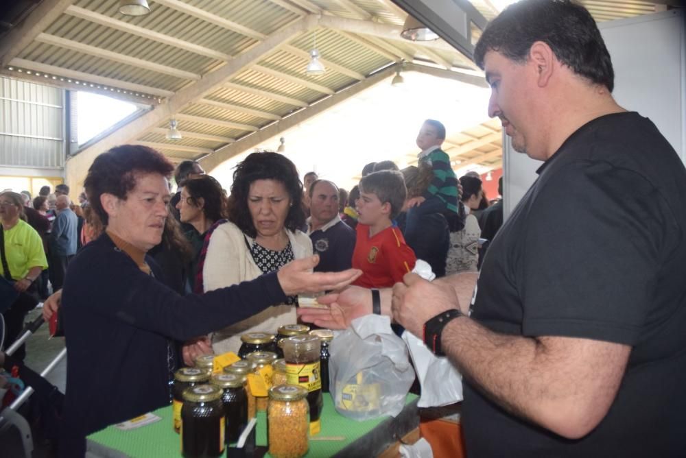 Feria del Burro y romería en San Vitero de Aliste