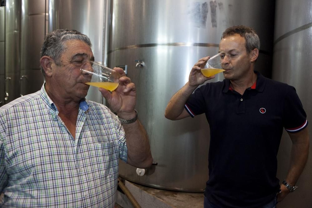 La mejor sidra de Asturias 2016 del Festival de Nava. Llagar Piñera, Deva