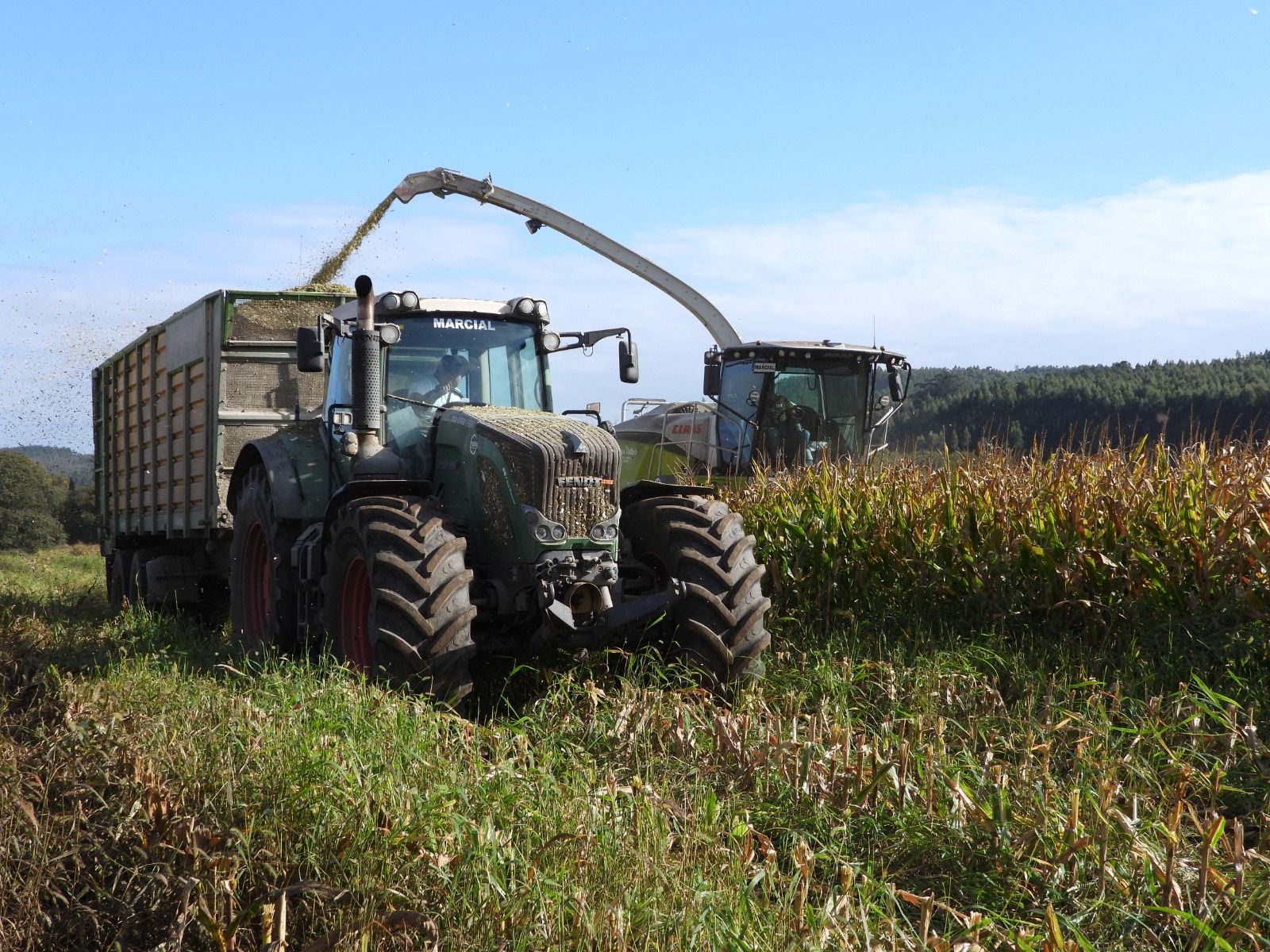 La cosechadora de un millón de euros de Marcial da Pereira