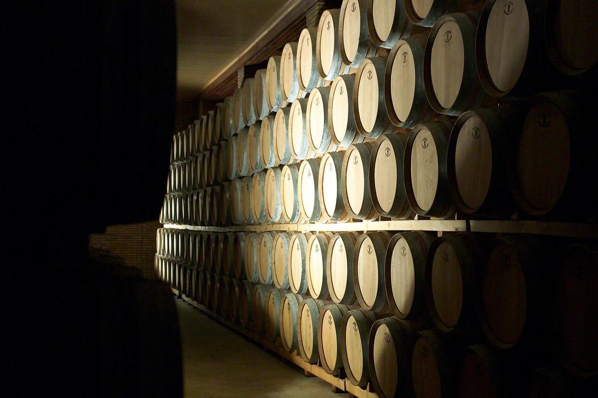 Cuentan con diferentes gamas de productos que abarcan un amplio abanico de vinos, varietales y caracteres
