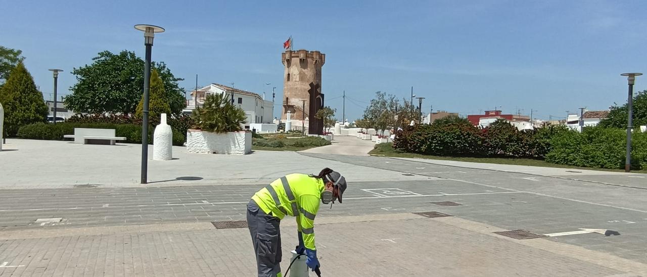 Tratamiento contra mosquito tigre en Paterna.