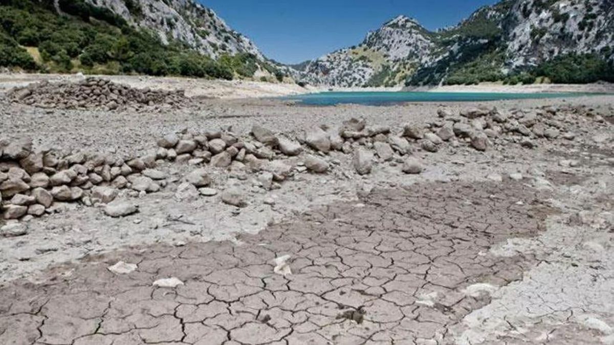 Die Trockenheit macht Mallorca derzeit zu schaffen