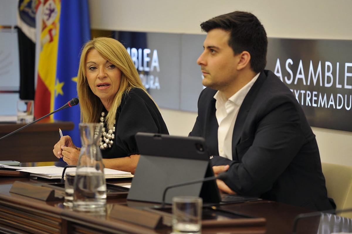 La diputada socialista Piedad Álvarez, este lunes en la comisión de Economía.
