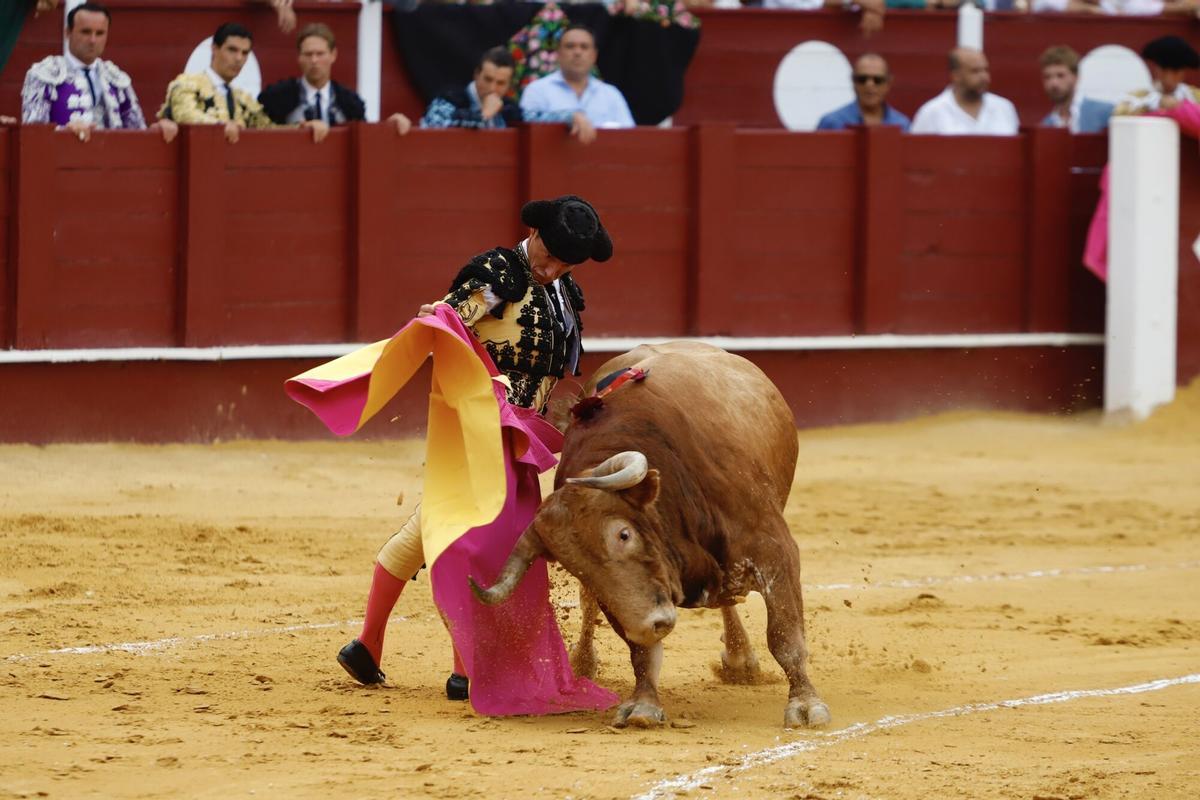 Imágenes de la corrida de toros celebrada en La Malagueta el lunes 18 de agosto de 2025