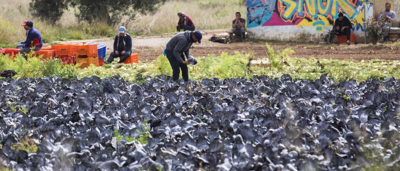 Trabajo investiga a 1.100  negocios valencianos por posible fraude en los ERTE