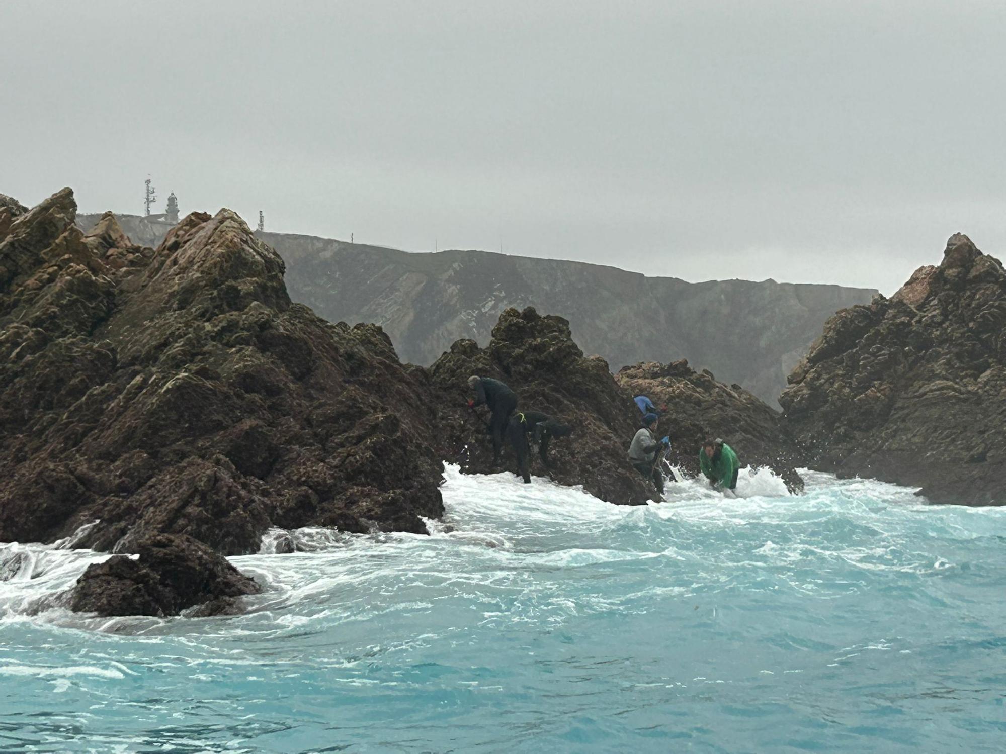 EN IMÁGENES: Así luchan los mariscadores de Luanco por cada kilo de percebe en el cabo Peñas