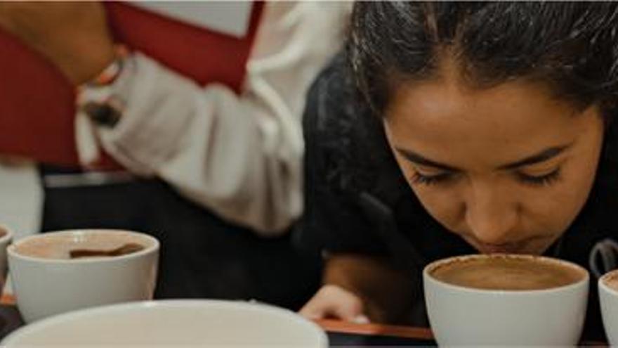 Café de especialidad en Gran Canaria: de Vecindario a las fincas de Agaete