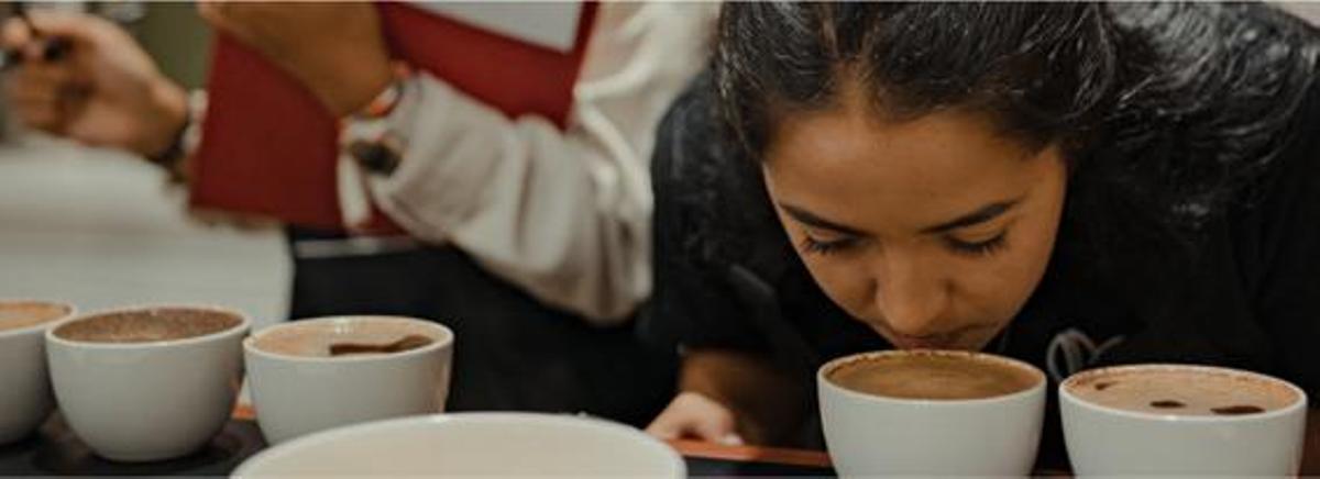 Evaluación del valor del café según la Asociación de Cafés de Especialidad (SCA).